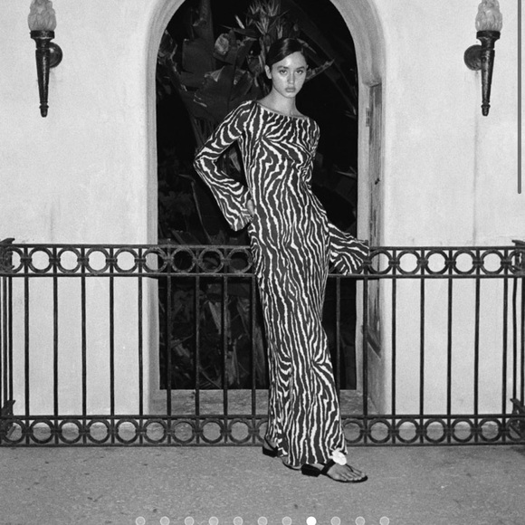 realisation par brown zebra dress Brown Zebra Print Infinite Journey Maxi Dress